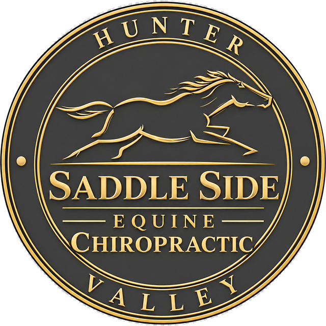 Saddle Side Equine Chiropractic, Hunter Valley — badge logo