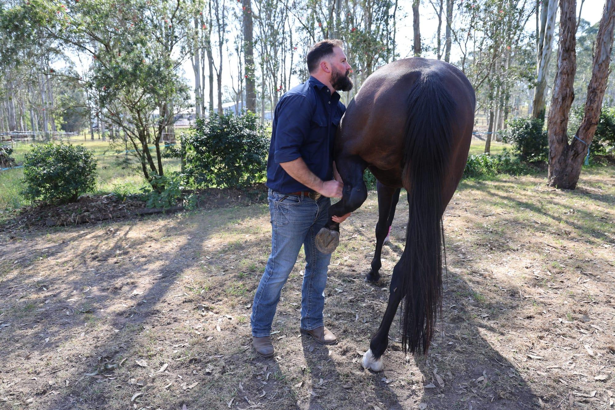 James with a bay horse among the gum trees