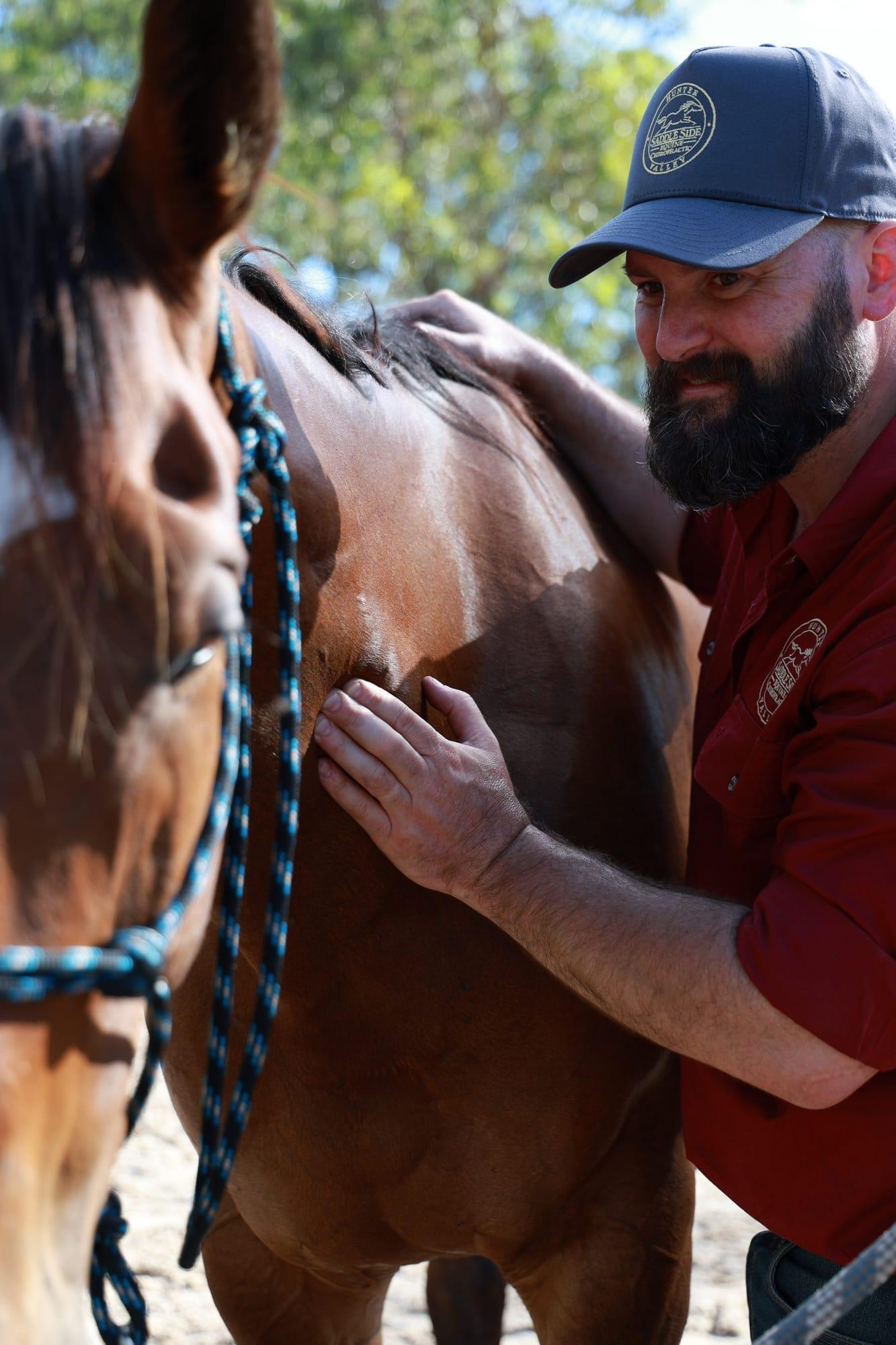 Close view of James's hands on a chestnut horse's withers