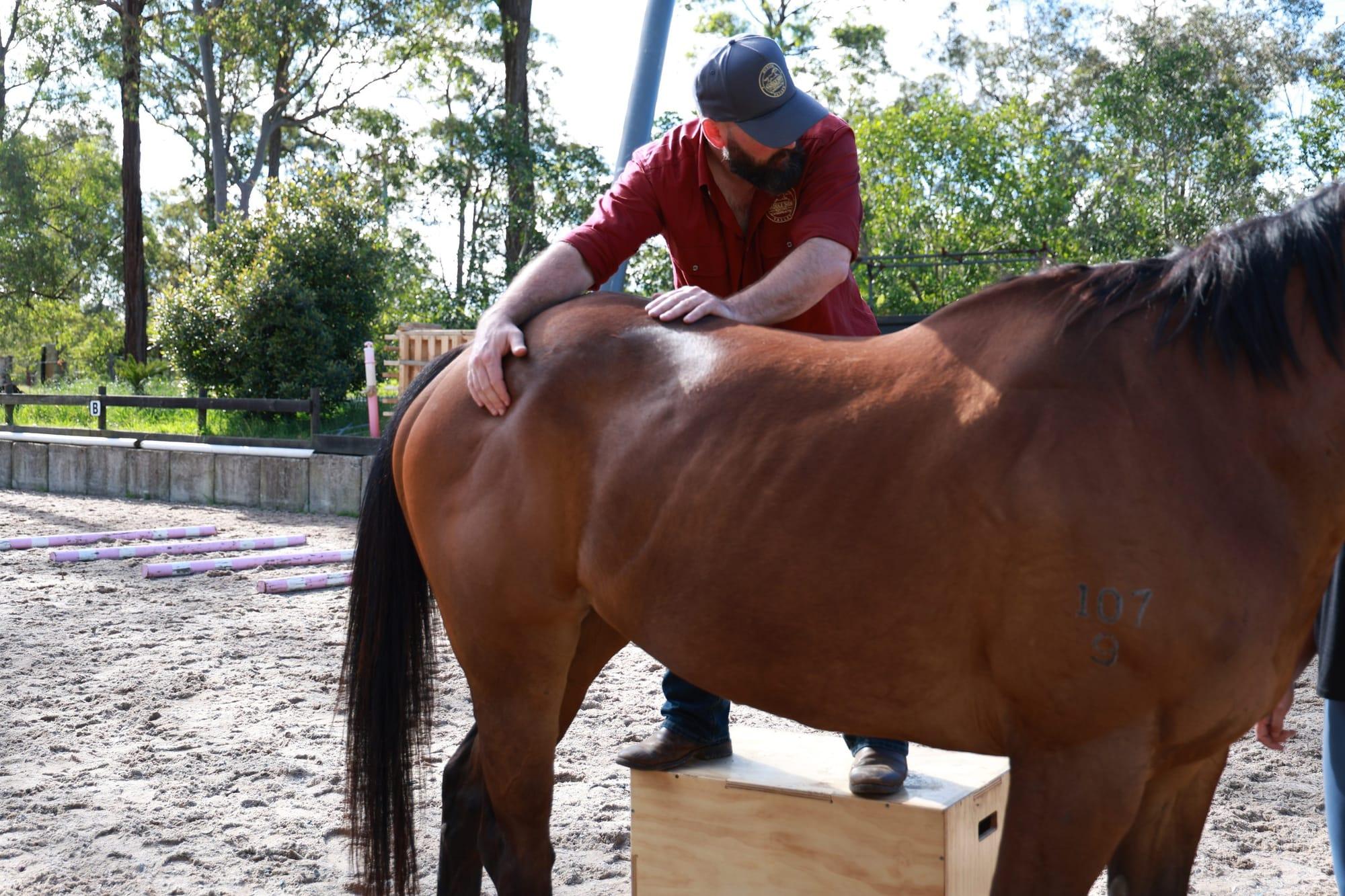 James working along a bay horse's back from a mounting block in a sand arena