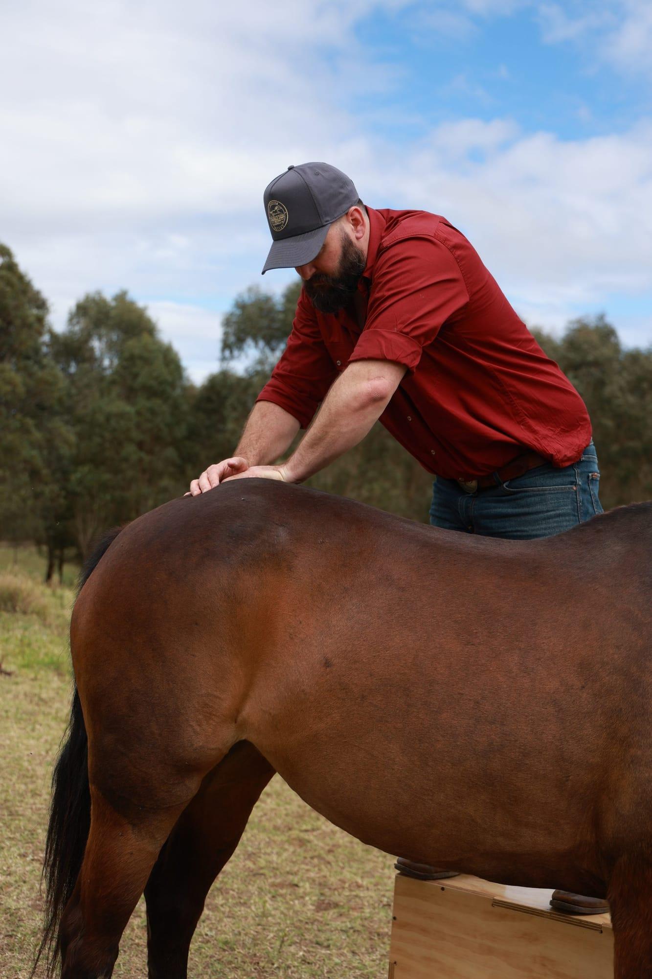 James on a block working over a bay horse's back