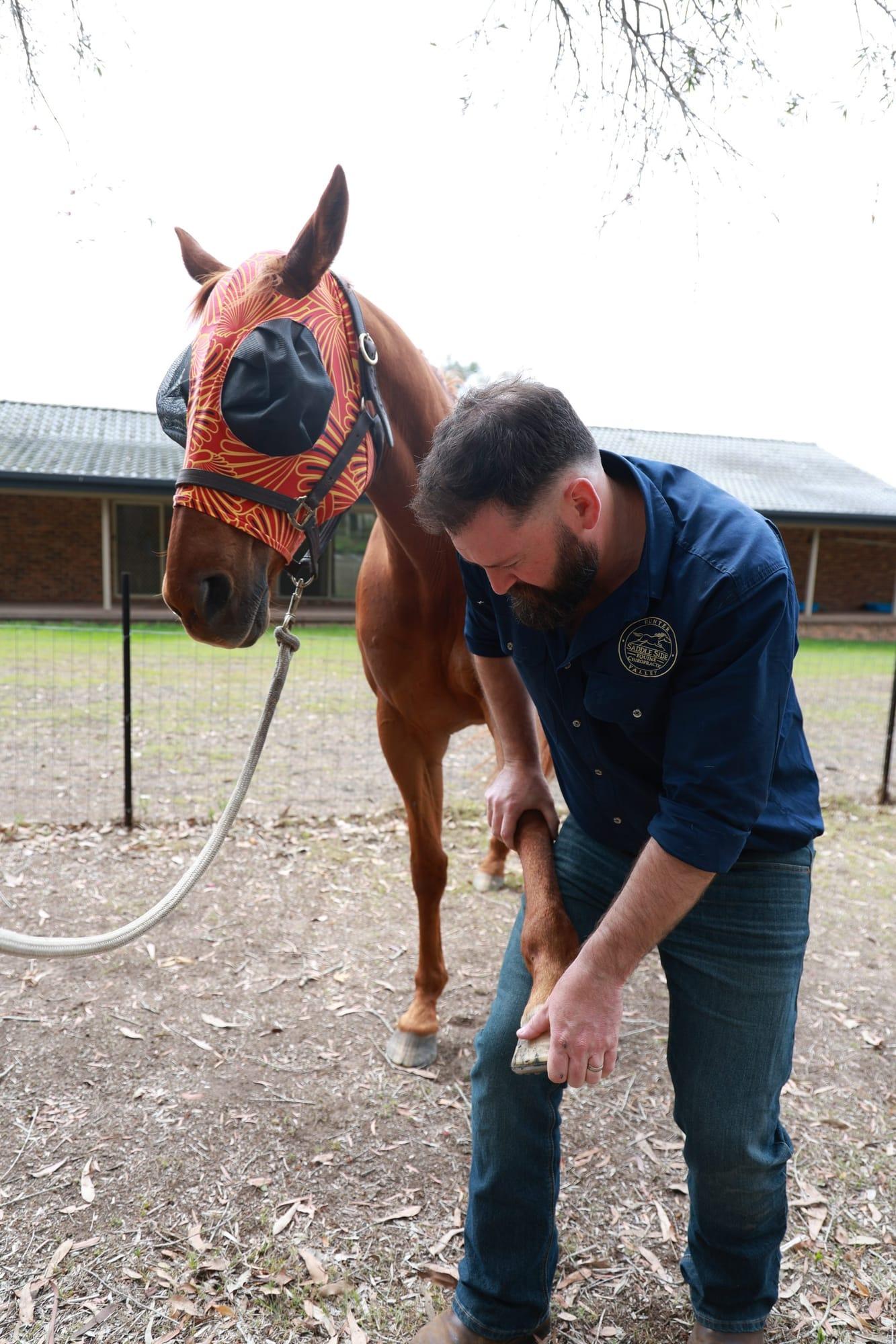 James lifting a chestnut horse's foreleg