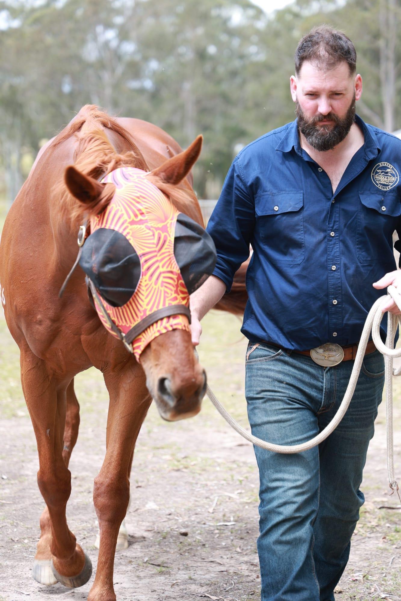James walking a chestnut horse up for a movement assessment