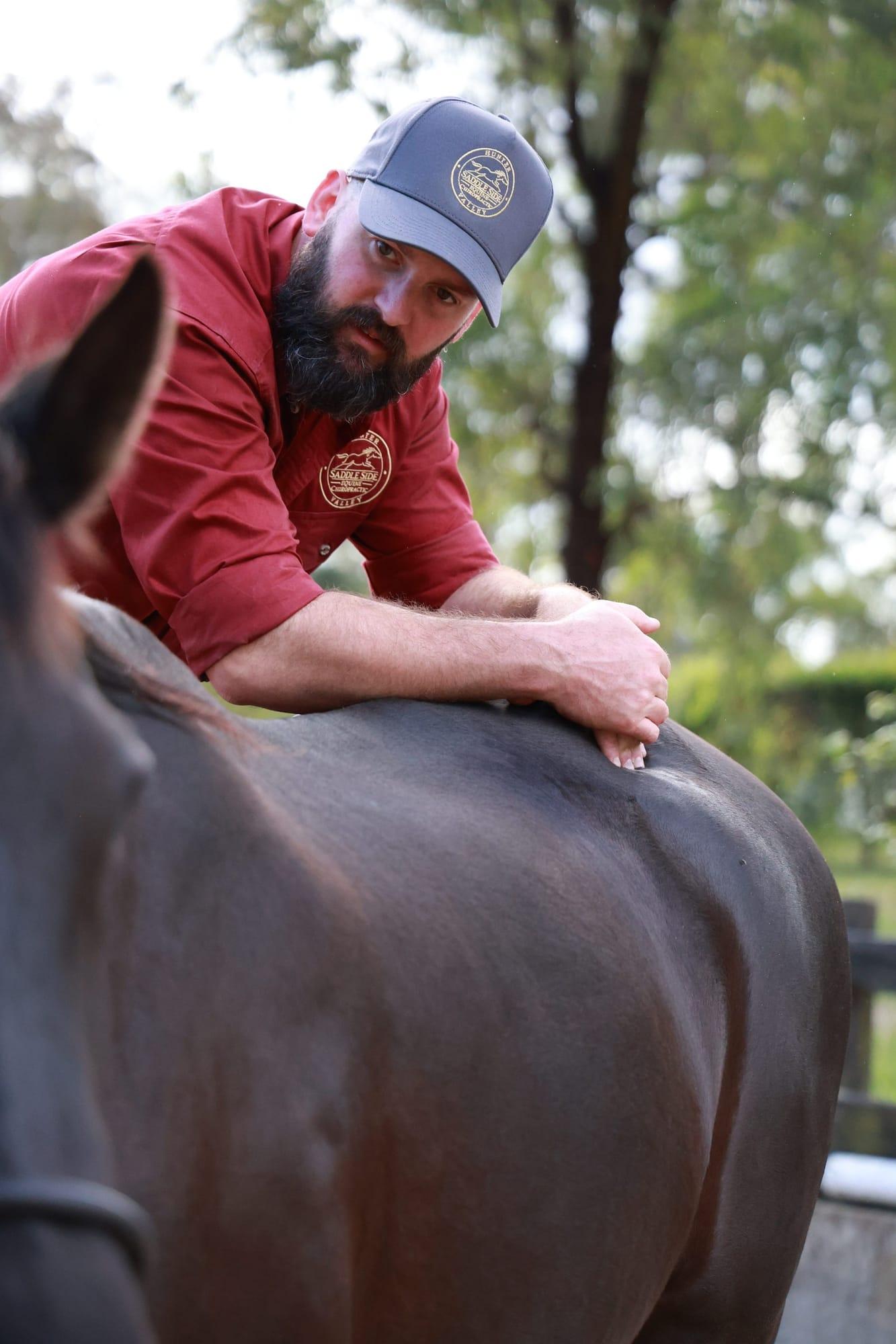 James palpating a dark bay horse's back