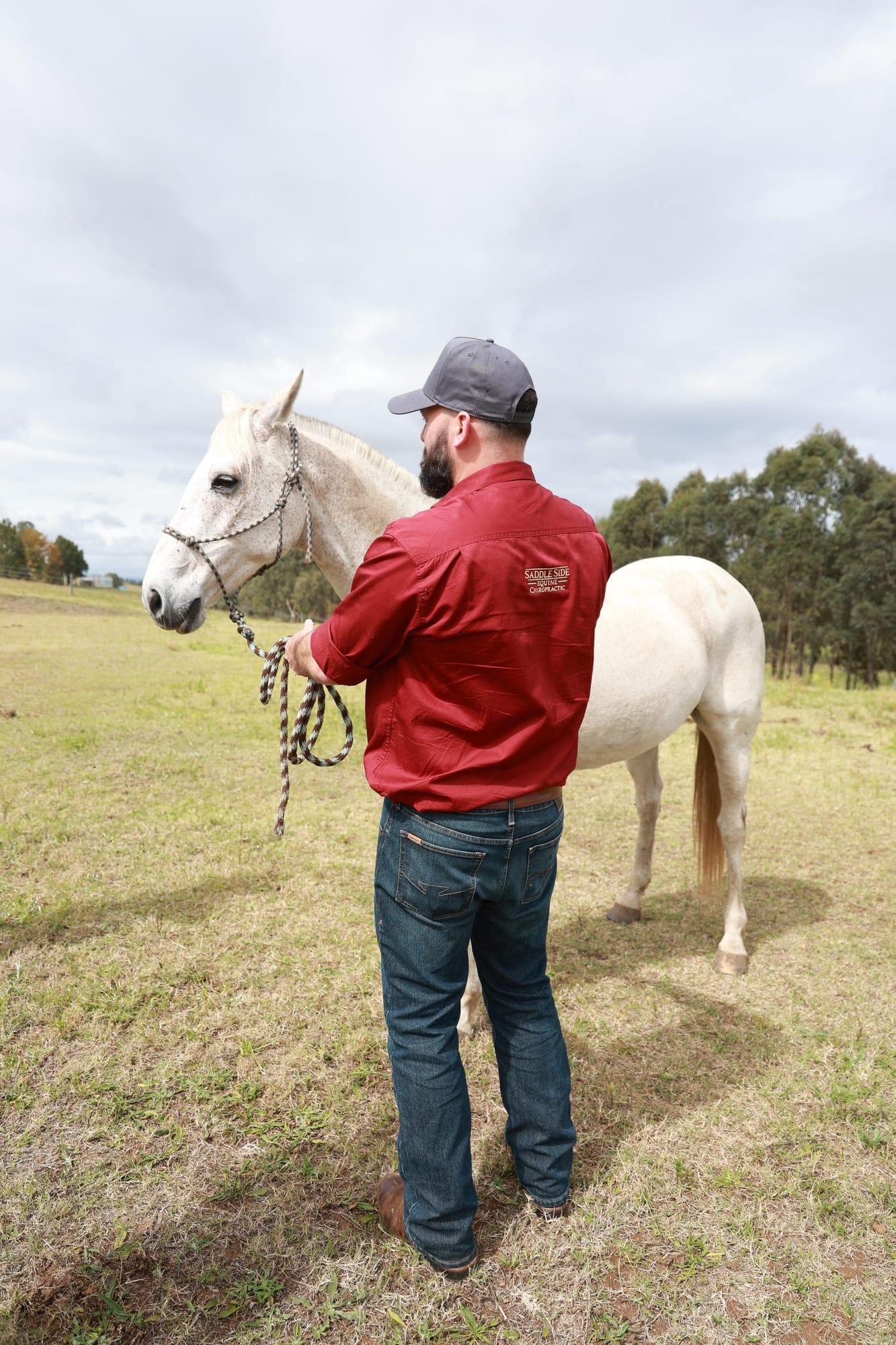 James observing a grey horse standing in a paddock